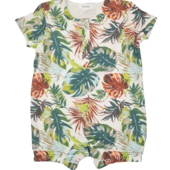 Henley Shortall, Tropical Tree Frog & Friends