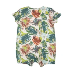 Henley Shortall, Tropical Tree Frog & Friends