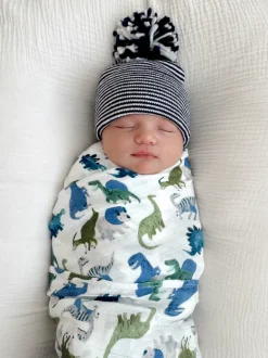 Muslin Swaddle, Painterly Dinos